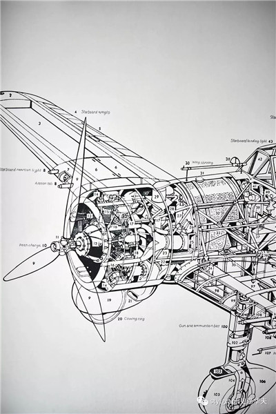 640 (11).jpg